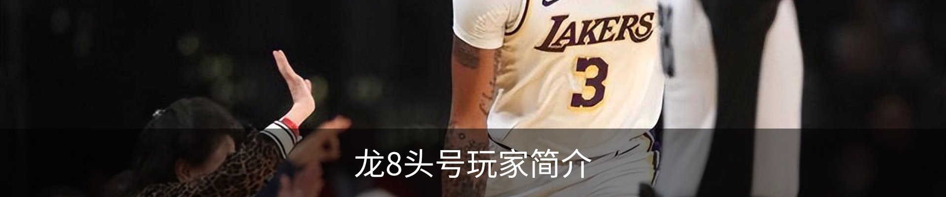 龙8头号玩家简介